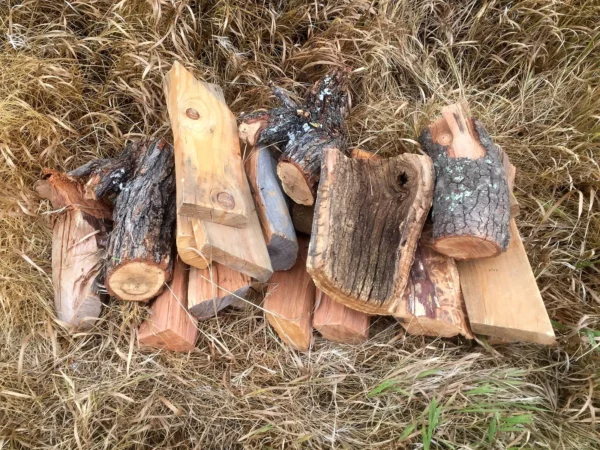 Bûches de bois fendues sur l’herbe