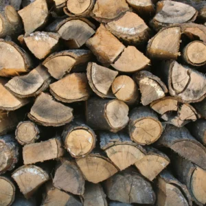 Bûches de charme