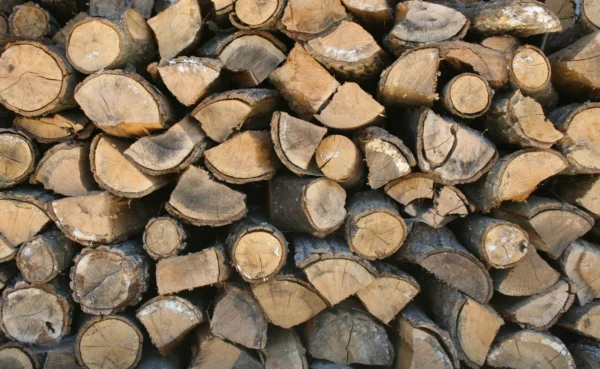 Pile de bûches