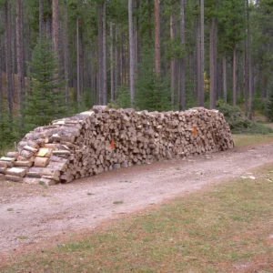 Bûches d’aulne