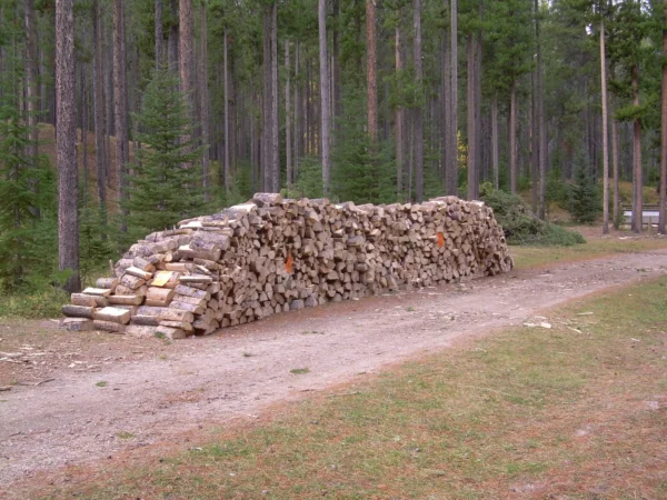 Großer Stapel gespaltenes Holz Grande pile de bois fendu